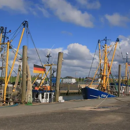 De Lark * Дорум-Нойфельд