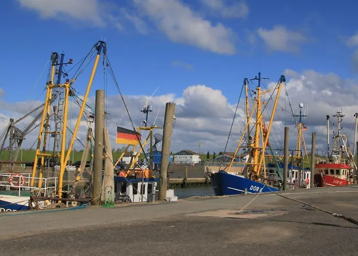 De Lark * Дорум-Нойфельд